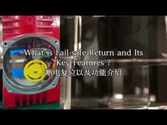 Ledakan Proof Electric Actuator IP68 CSA Power-Off Reset Modbus